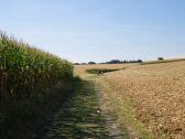  Blick auf die Wanderstrecke 